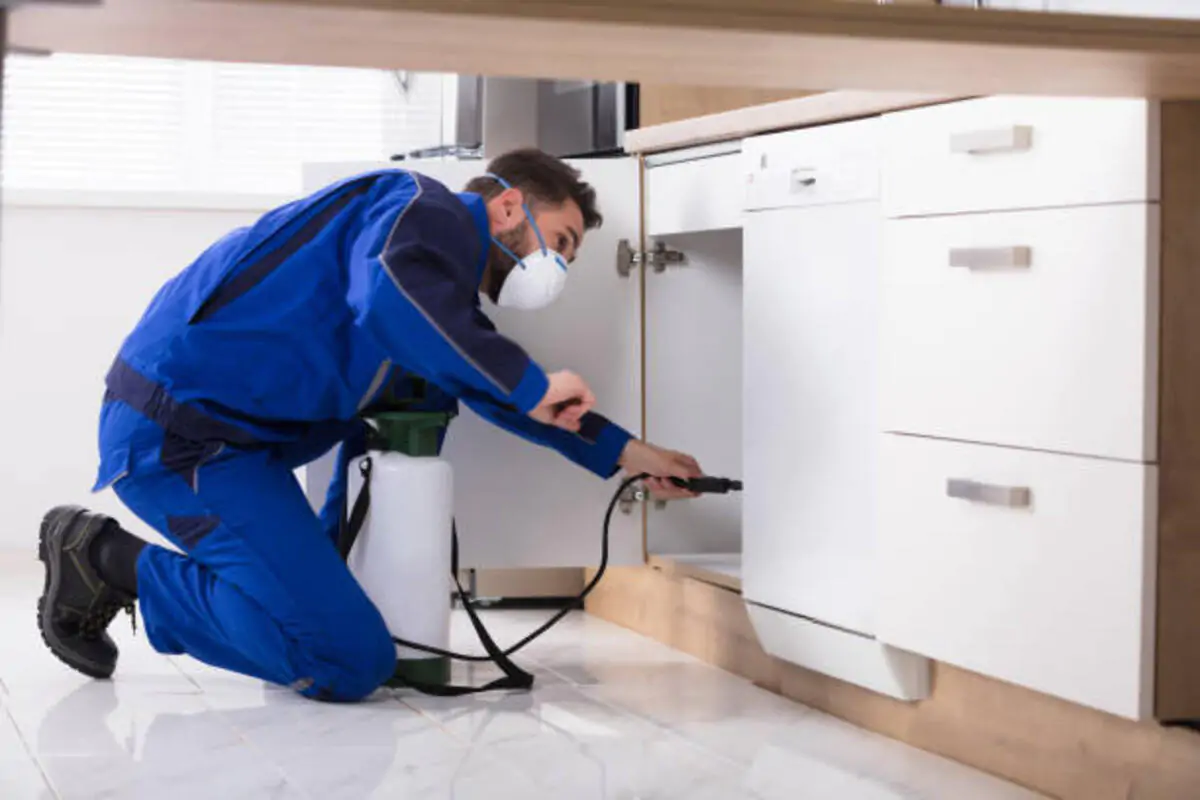 Pest Control Services