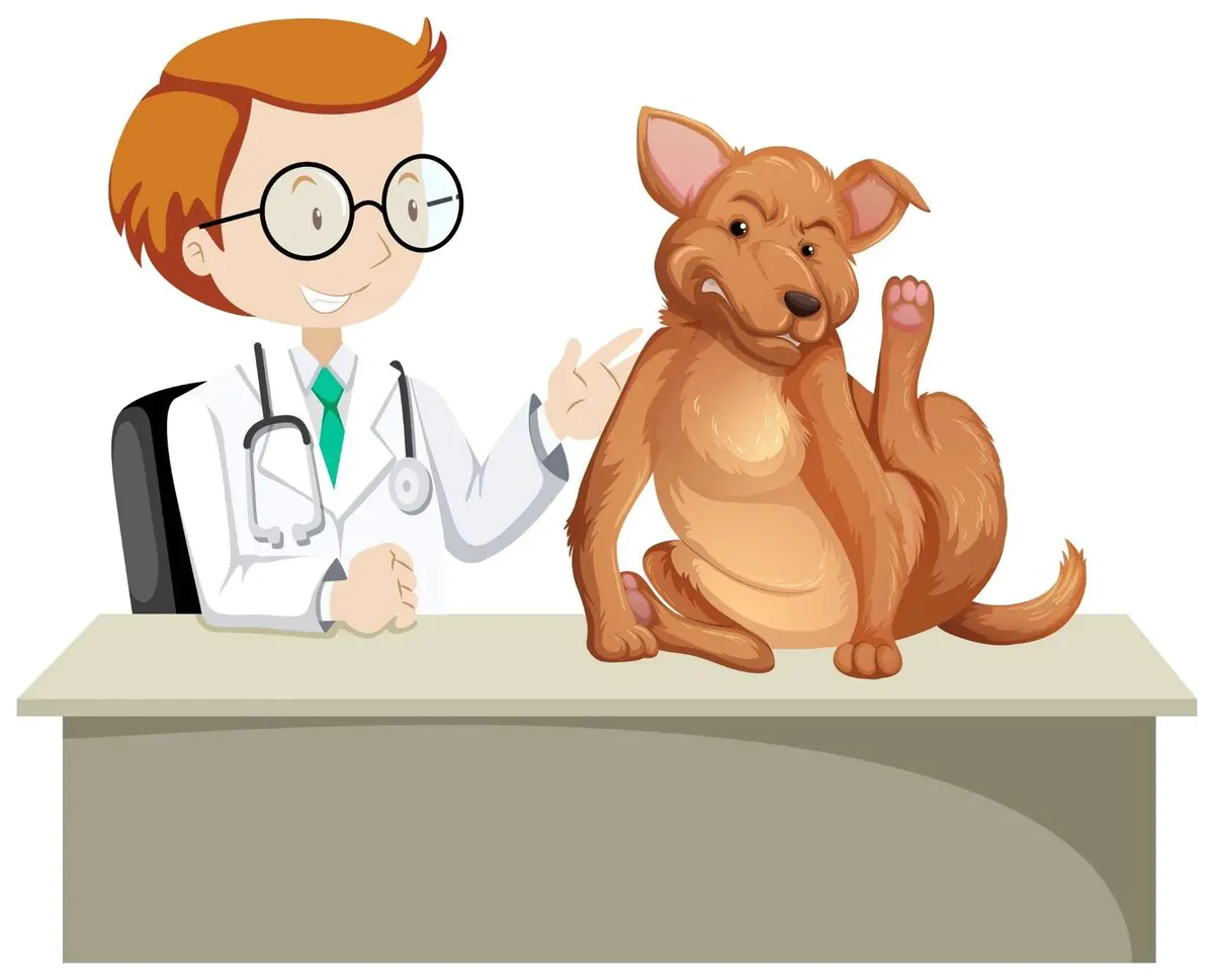 facts about veterinarians