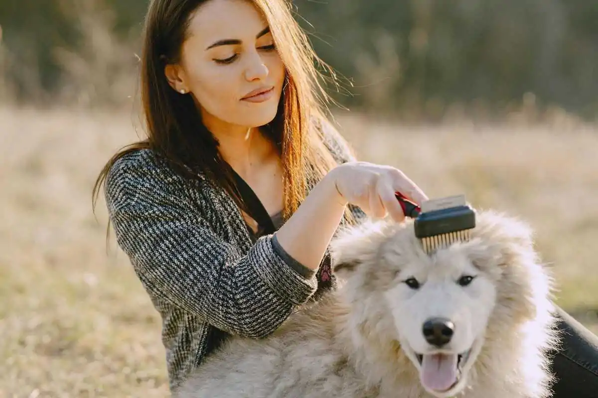How to Handle Shedding Season