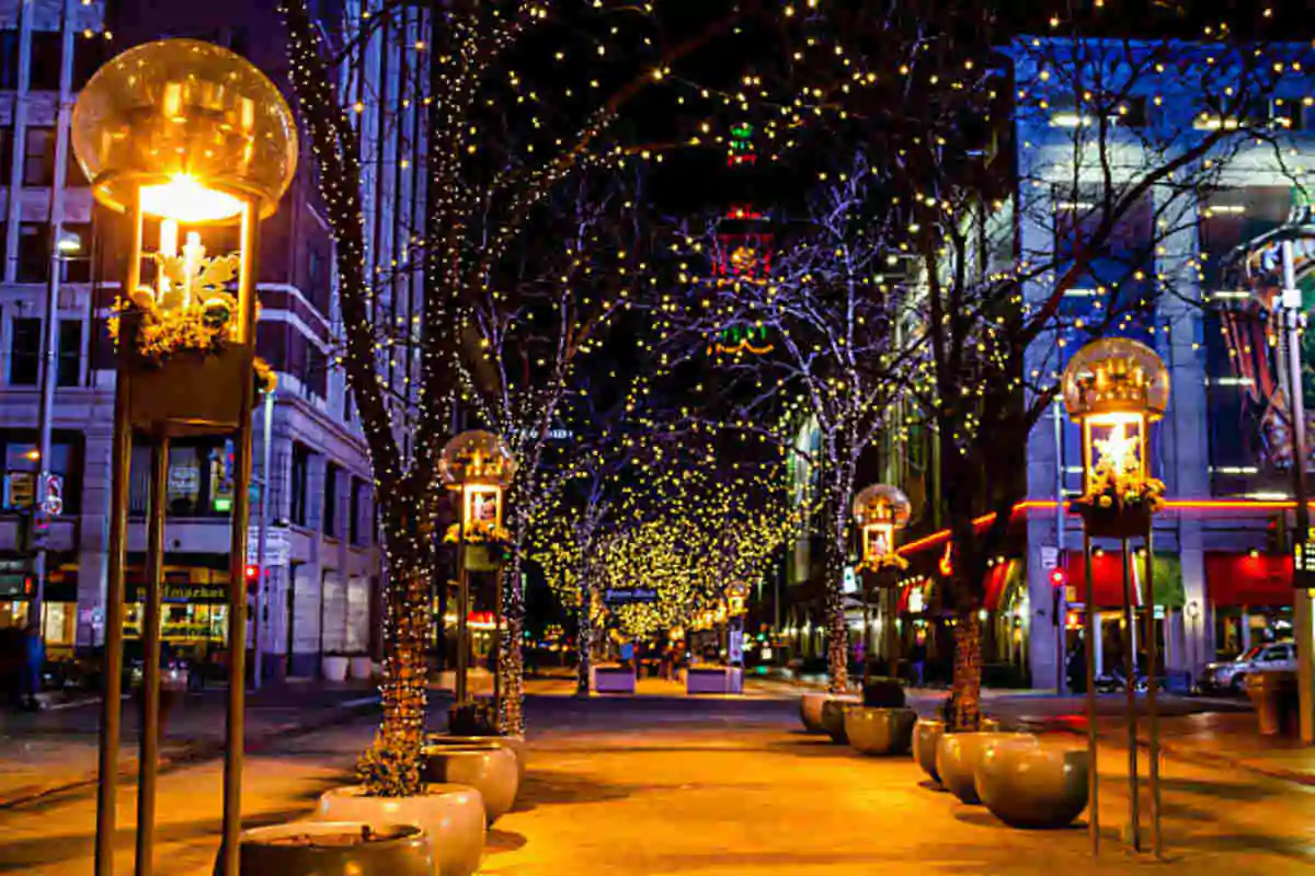 Christmas Light Installation Denver CO