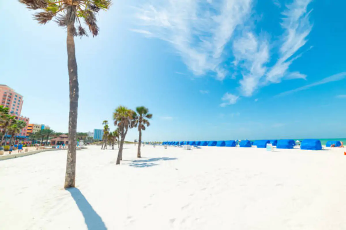 venice florida rentals