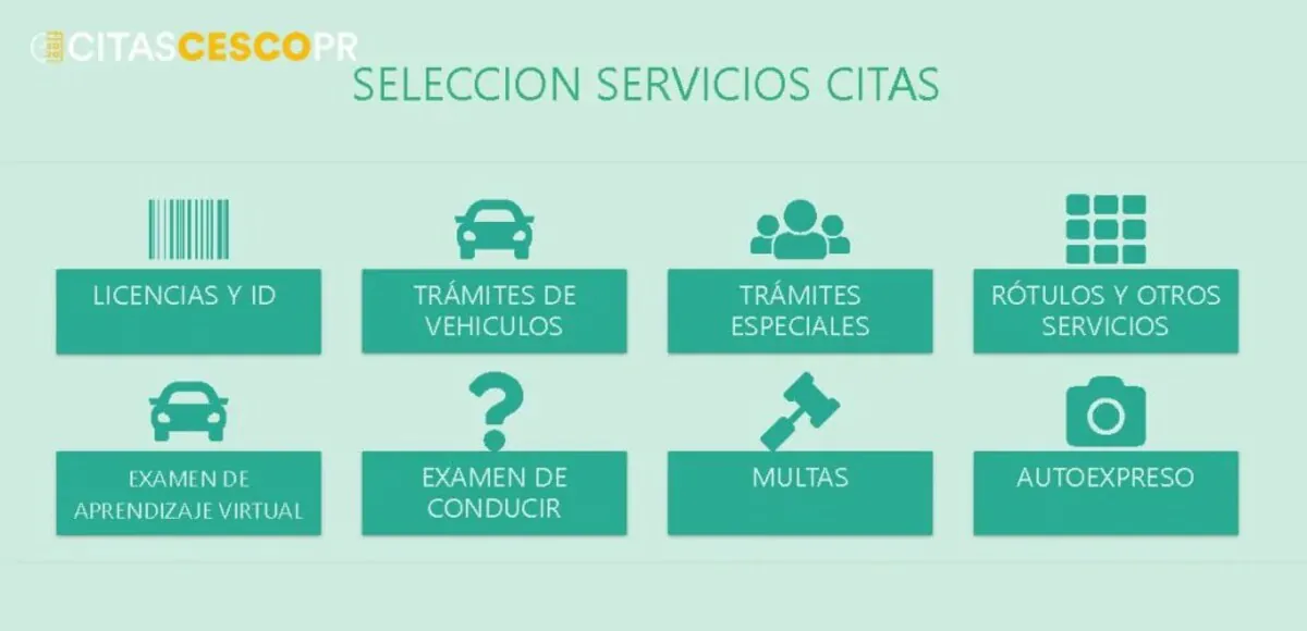 Finding the One: A Guide to Navigating CESCO Citas