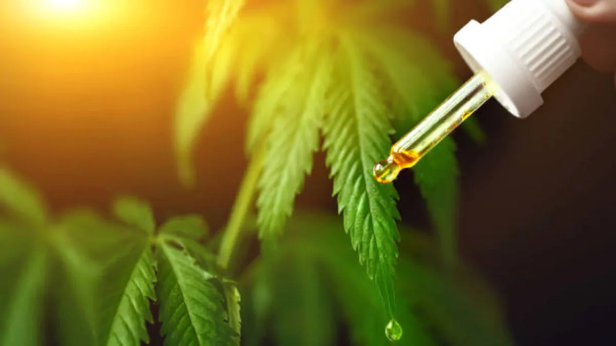 What exactly is THCA Powder?