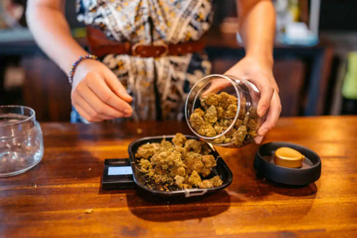 Exploring the THCA Flower Pound: A Comprehensive Guide