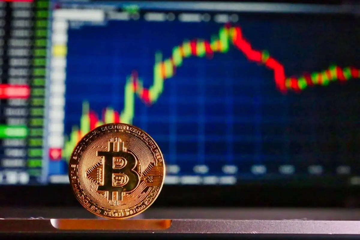 Knowing the WSD Token Ecosystem