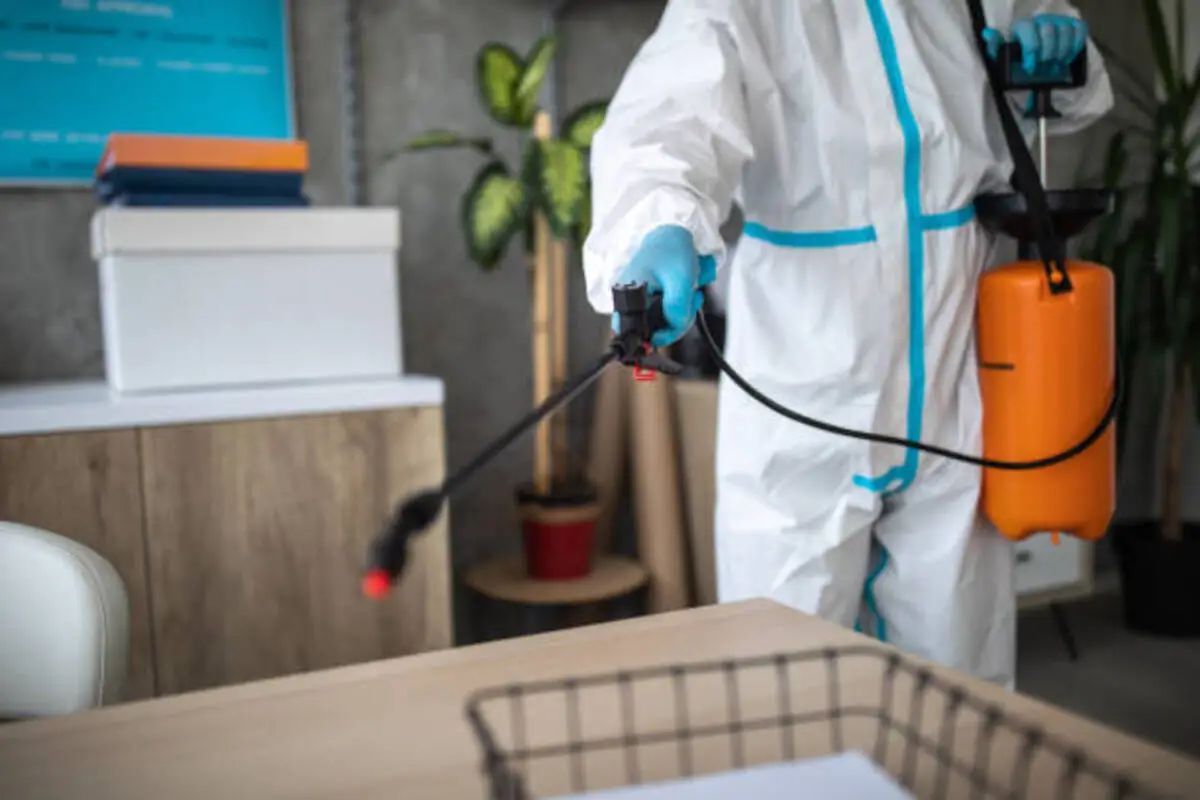 Essential Tips for a Pest-Free Home