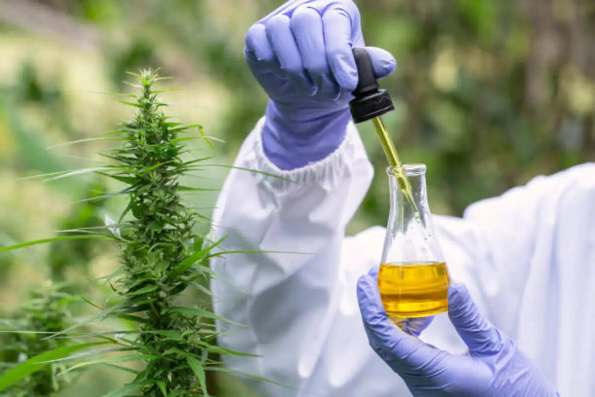 Picking the best Enail Dab Kit